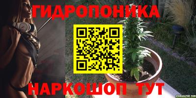 мдпв Нальчик
