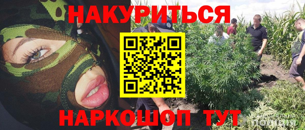 Бошки марихуана VHQ  Вход с VPN  Улан-Удэ  Марихуана индика 